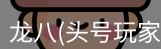 头号玩家龙8